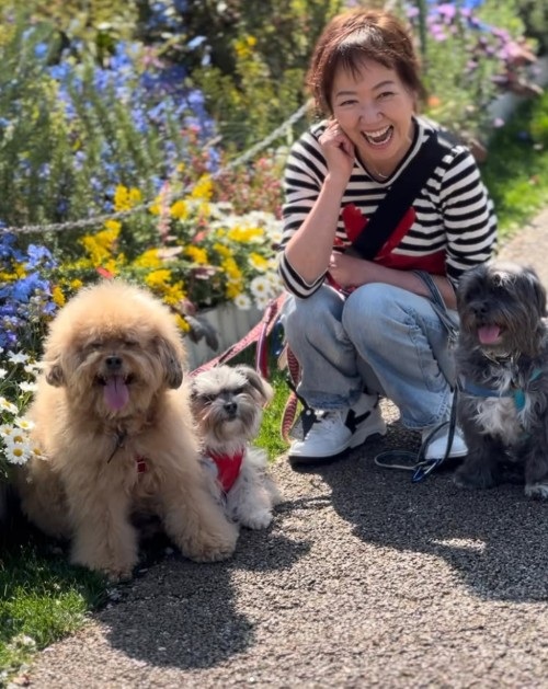 浅田美代子の再婚観と現在の結婚への考え方