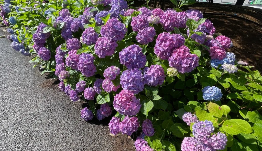 運営者情報プロフィール